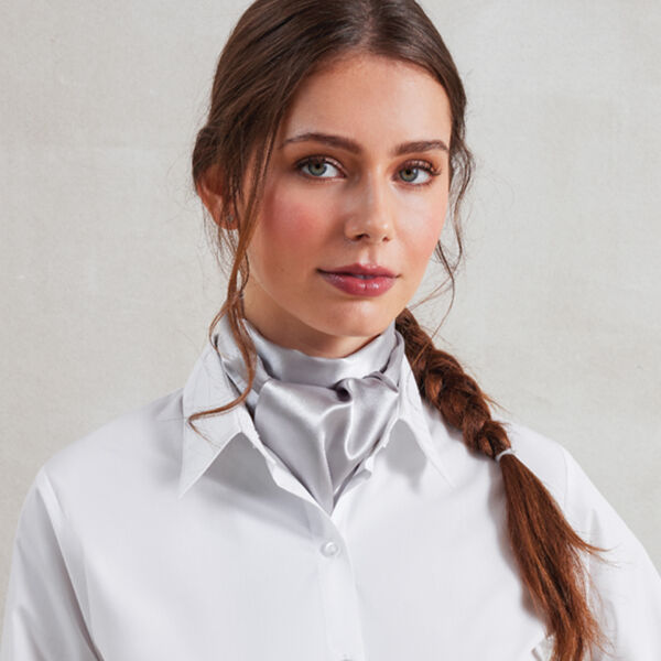 Ties & Scarves Thumbnail